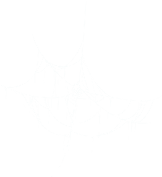 Halloween web decoration, spider cobweb art